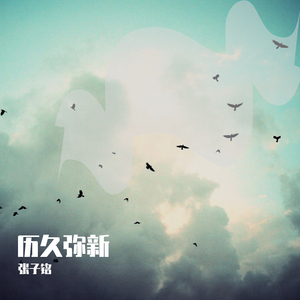 一字马扣出水来H
